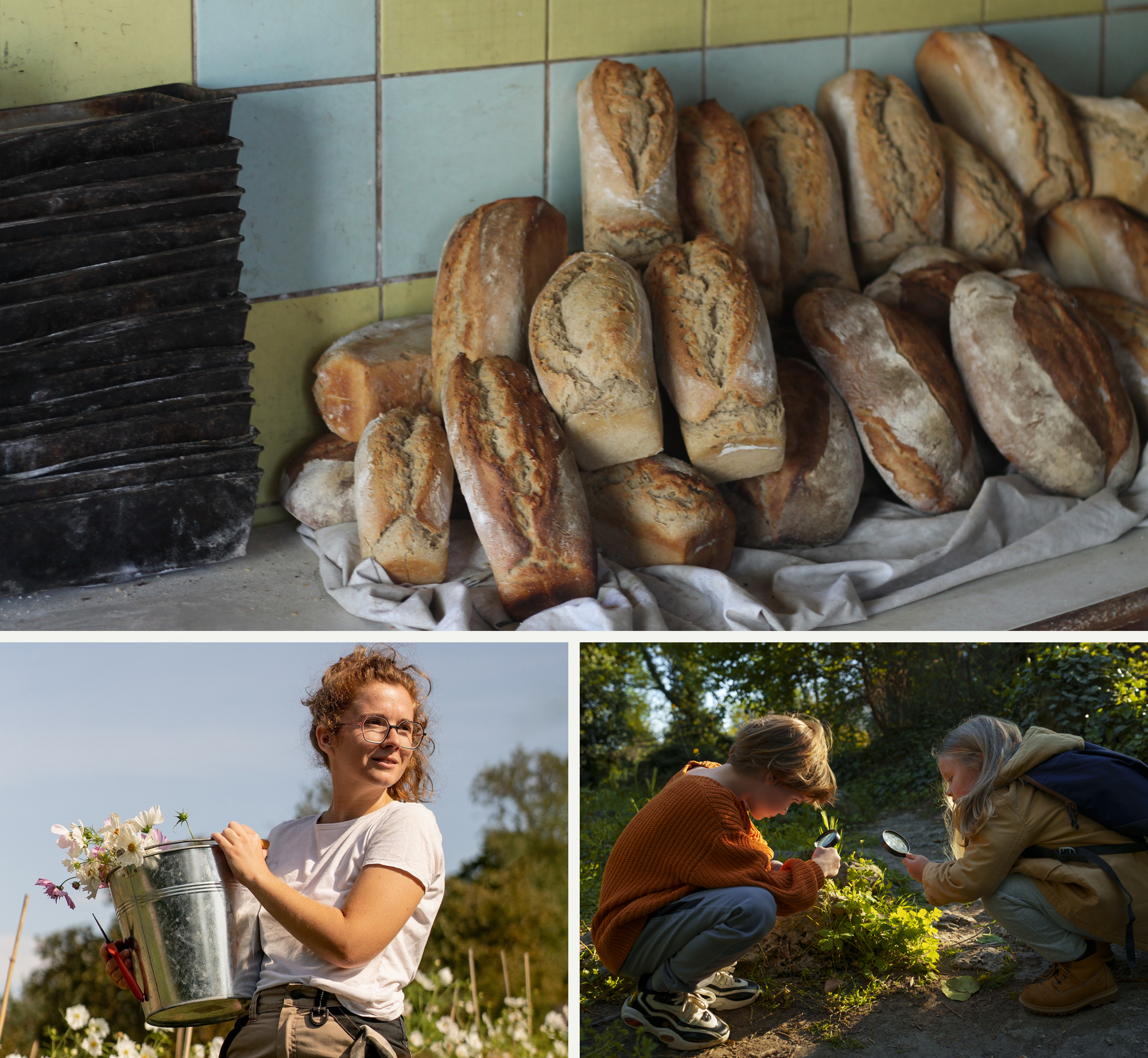 photos d'activités agrirurales