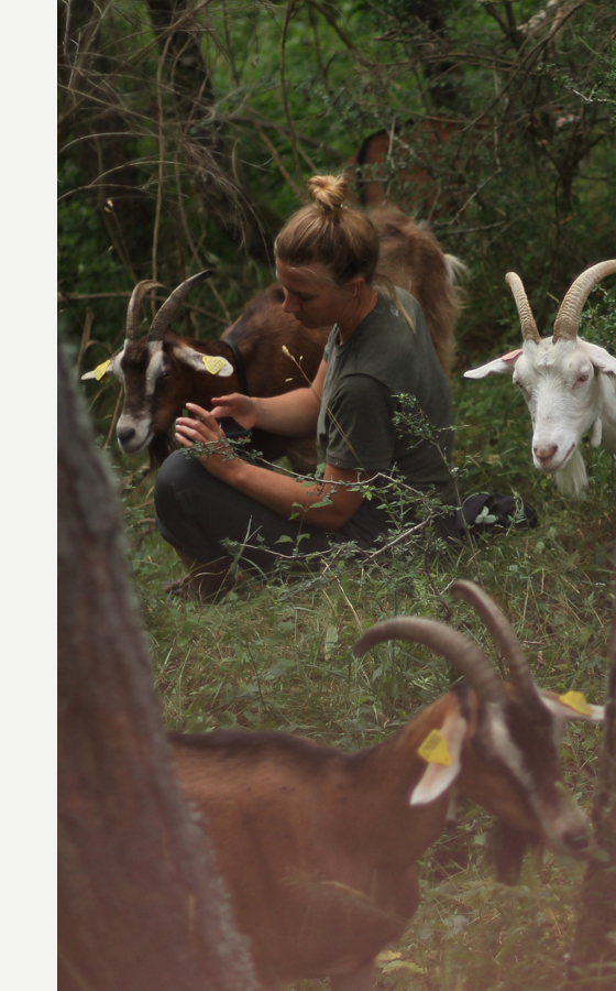 photo d'une activité agrirurale