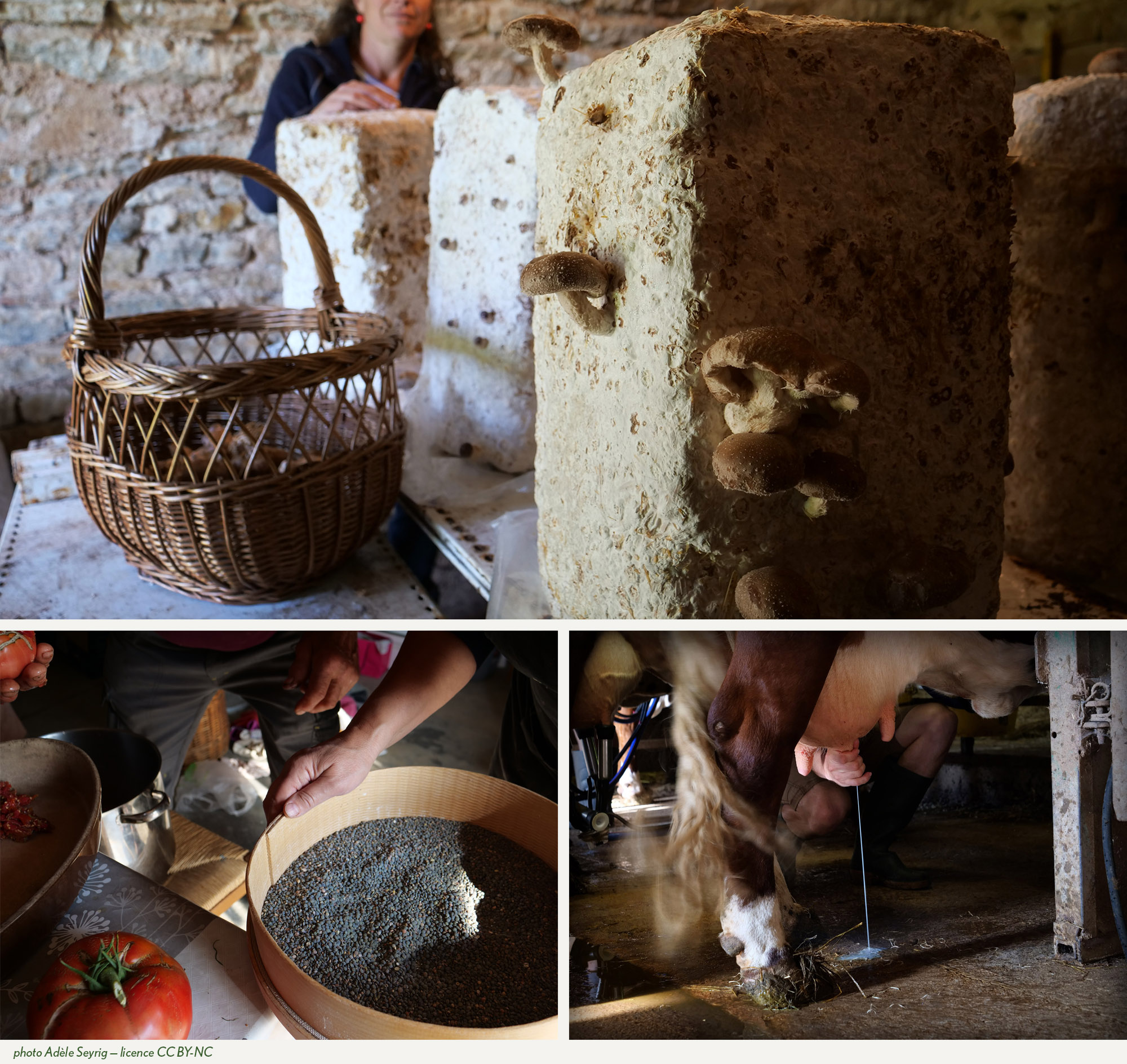 images d'activité agrirurales