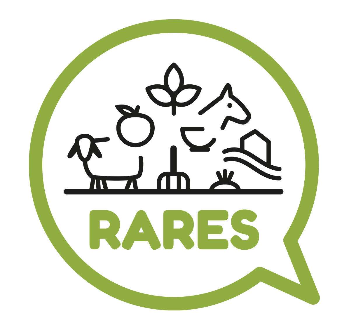 logo projet RARES 2018