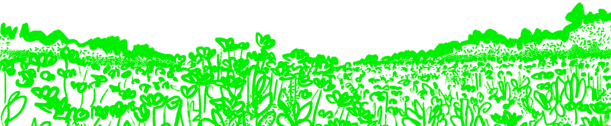illustration 1